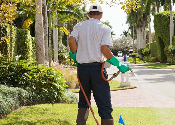 About Madisonville TX Pest Control